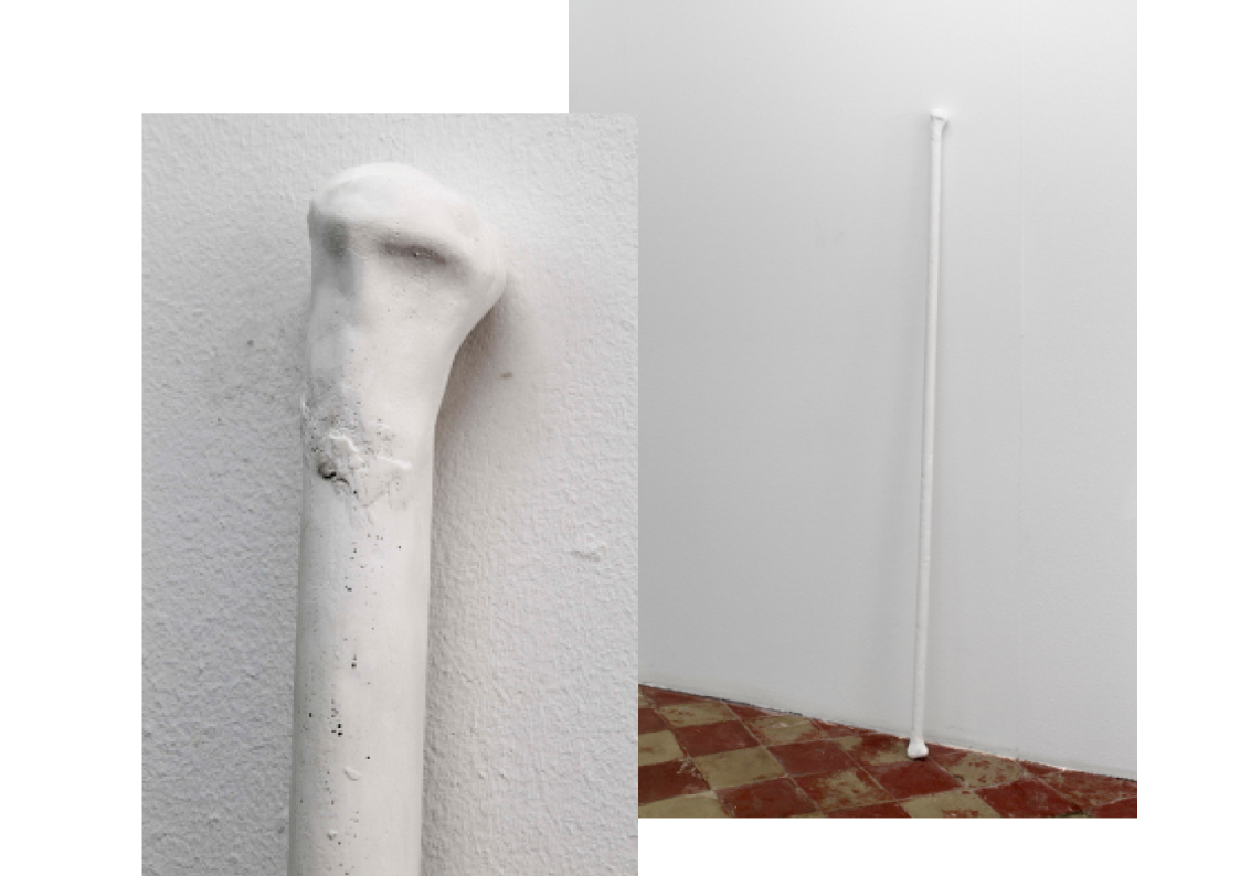  katherina heil katherinaheil greylight projects brussels divided by two bone plaster sculpture