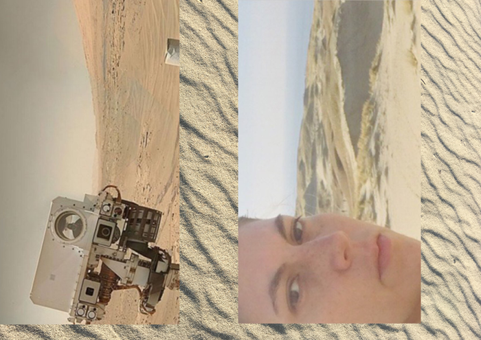 © katherina heil the orchid and the wasp sensory thresholds microcosm macrocosm dune meteors and spaceships